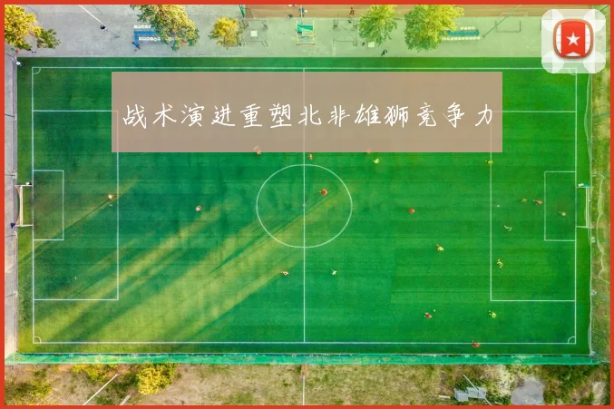 战术演进重塑北非雄狮竞争力