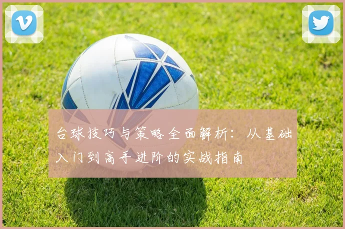 台球技巧与策略全面解析：从基础入门到高手进阶的实战指南