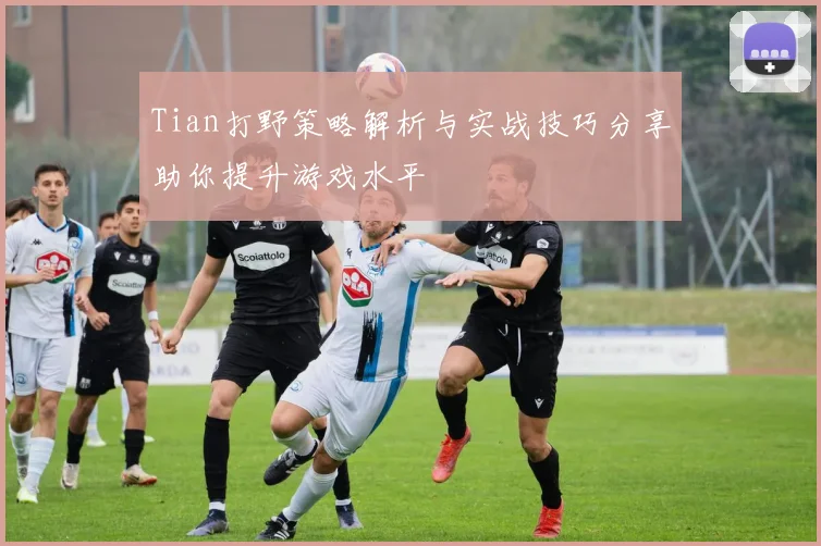 Tian打野策略解析与实战技巧分享助你提升游戏水平